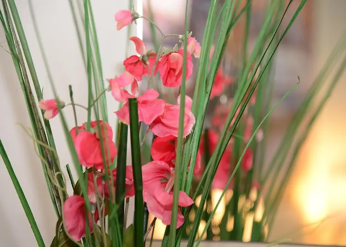 Europa Bed & Breakfast 3*